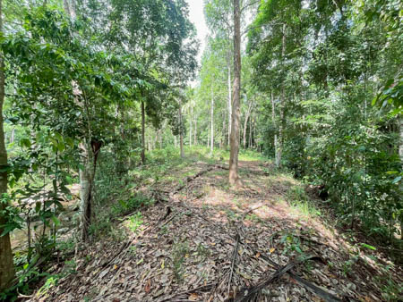 ที่ดินทำเลทองลิปะน้อย เกาะสมุย ราคาพิเศษ วาละ 10000  ที่ดิน 3 ไร่เศษ ลิปะน้อย เหมาะสร้างรีสอร์ทหรือบ้านพัก โอกาสลงทุนสมุย ราคาดี