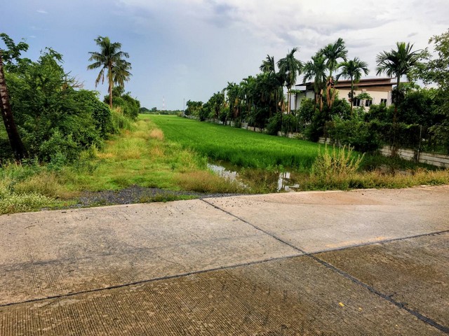 ต้องการขายด่วน ที่ดินจำนวน 6 ไร่ อยู่ในเขตเทศบาลตำบลระแหง อำเภอลาดหลุมแก้ว ปทุมธานี 