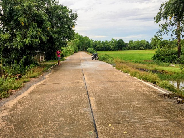 ต้องการขายด่วน ที่ดินจำนวน 6 ไร่ อยู่ในเขตเทศบาลตำบลระแหง อำเภอลาดหลุมแก้ว ปทุมธานี