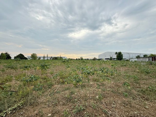 ขายที่ดินศรีราชา หนองขาม แปลงสวย ทำเลดี ติดนิคมปิ่นทอง 1 FP-L01193 