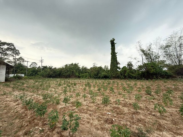 ขายที่ดินขอบอ่างบางพระ ศรีราชา แปลงสวย ทำเลดี ใกล้แหล่งชุมชน FP-L01184 