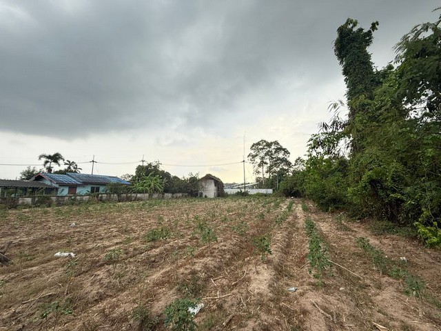 ขายที่ดินขอบอ่างบางพระ ศรีราชา แปลงสวย ทำเลดี ใกล้แหล่งชุมชน FP-L01184