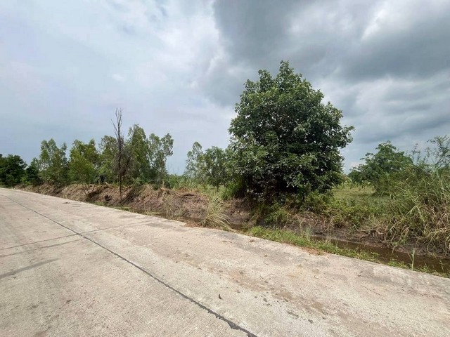 ขายและให้เช่าที่ดินพานทองชลบุรีทำเลทอง พานทอง จ.ชลบุรี ติดแหล่งอุตสาหกรรม และเขตความเจริญ