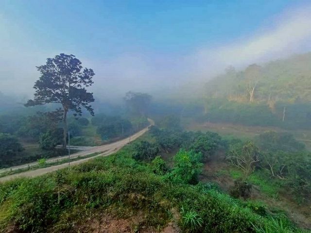 โซนเชียงดาว เจ้าของตัดใจขายด่วน! #ขายขาดทุน เพียง 2.2 ล้าน 3-1-70 ตรว. บ้านพร้อมที่ดินวิวสวย #เหมาะสำหรับทำบ้านักตากอากาศ