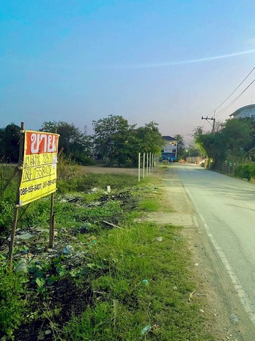 ขายด่วนที่ดินจัดสรรแล้ว  ขายรวม 726  ตร.วา ซ.สุเหร่าเขียว  ซ.โดม  บางบัวทอง   ZT801