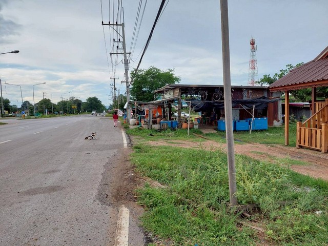 ขายด่วนที่ดินสวยถมแล้ว  6-1-6  ไร่   ติดถนน 2 ด้าน  วิเชียรบุรี  เพชรบูรณ์   ZT797