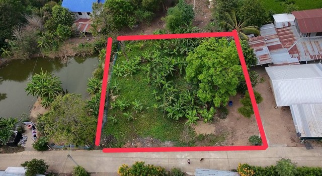 ขายที่ดินราคาถูกเสาไห้ 203ตรว. 2,200บ/ตรว.Total446,600บ ก.30ม. พิกัด ต.เมืองเก่า อ.เสาไห้ จ.สระบุรี