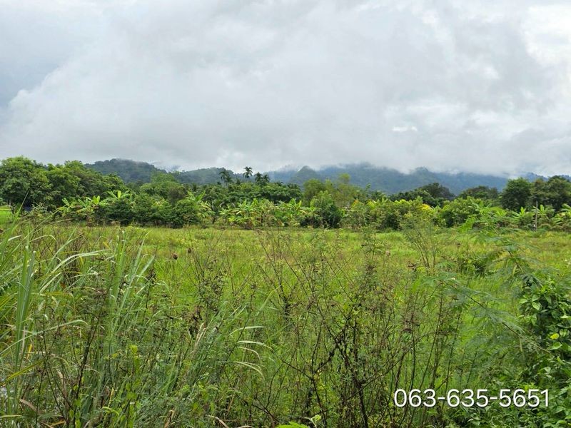 ขายที่สวยติดถนนทำเลดี วิวเขาล้อม ทำธุรกิจค้าขายได้ ต.เขาพระ อ.เมืองนครนายก การเดินทางสะดวกสบาย ใกล้สถานที่ท่องเที่ยวมากมาย