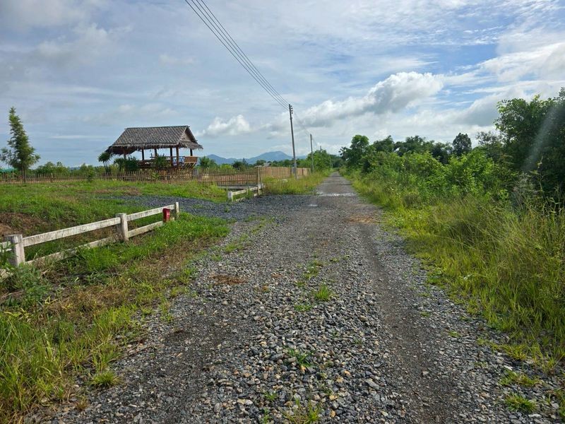 ขายที่แปลงเล็กเห็นวิวเขา เดินทางง่ายใกล้บะหมี่โหน่ง ต.บ้านพร้าว อ.บ้านนา จ.นครนายก ถมสูงแล้วลงบ้านได้เลย