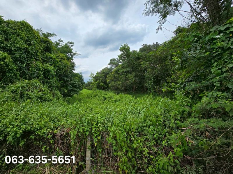 ด่วน ขายต่ำกว่าประเมินกรมที่ดิน ที่สวยติดถนน 4 เลน เส้นสุพรรณนิการ์ สาย 2011 ต.บ้านใหญ่ อ เมืองนครนายก การเดินทางสะดวกสบาย