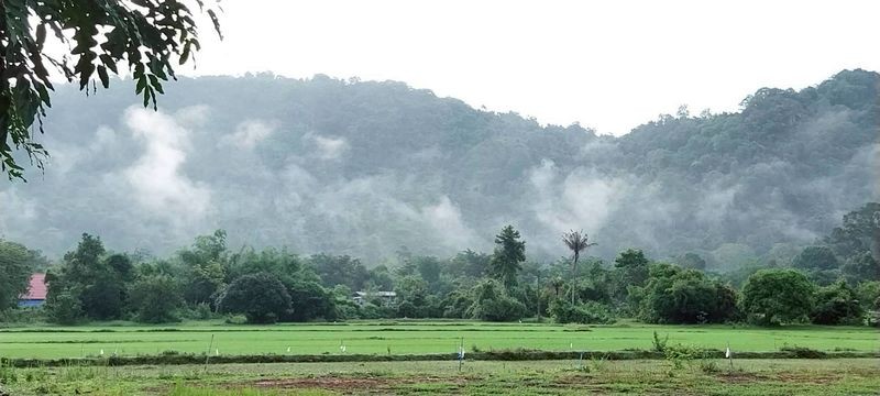 ขายที่สวย วิวน้ำตกเขาน้ำโจน ต.เขาพระ อ.เมืองนครนายก จ.นครนายก เดินทางจาก กทม.เพียง 1.30 ชม.