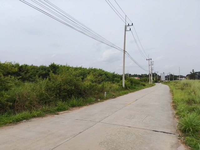 ขายที่ดินสวยพนัสชลบุรี ที่ดิน 11 ไร่2งาน 30 ตารางวา ผังสีเหลือง ห่างถนนจารุวร (ทางหลวง 349)ถ.สี่เลน เพียง 50  เมตร