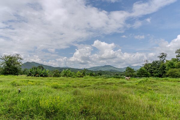 ขายที่ดินวิวเขา แม่ฮ่องสอน – ต.แม่นาเติง อ.ปาย ( 385.5 ตรว.) - ที่ดินตั้งอยู่ในพื้นที่ธรรมชาติ เงียบสงบ ล้อมรอบด้วยวิวภูเขา