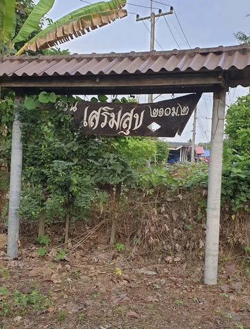 ขายที่ดินเปล่า นครนายก ปากพลี 33 ไร่ หน้ากว้าง เจ้าของรีบ เหมาะทำรีสอร์ท