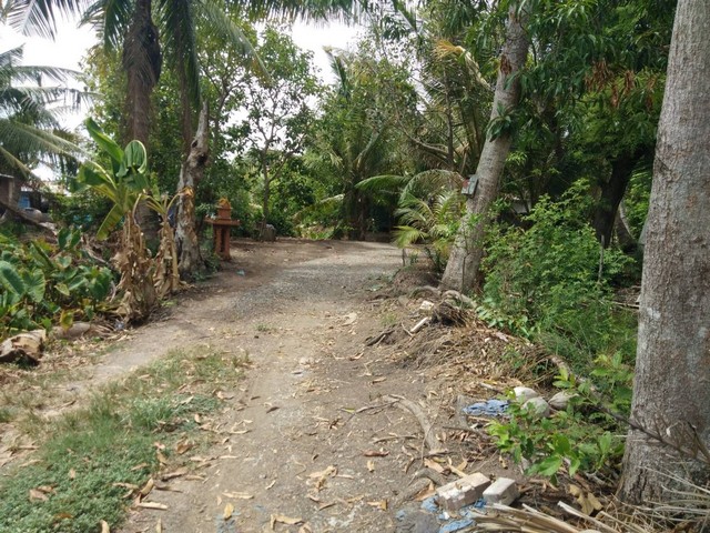 พื้นที่ดิน ที่ดินติดคลองหลวงแพ่ง ลำต้อยติ่ง หนองจอก พื้นที่เท่ากับ 2162 ตาราง.วา  ไม่ไกลจาก อยู่ติดคลองหลวงแพ่ง, อยู่ตรงข้ามสนามกอล์ฟ ฟินิกซ์ โกลด์ กอล์ฟ แบงค็อก และห่างท่าอากาศยานสุวรรณภูมิ ประมาณ 30 กม. คุ้มยิ่งกว่าคุ้ม