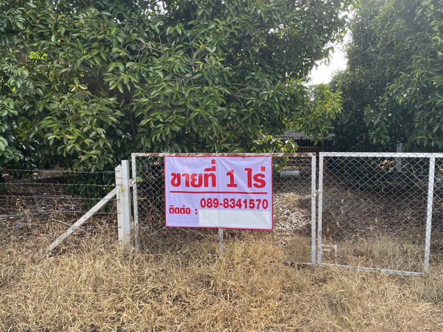 ขายที่สวนผลไม้ พื้นที่ 1 ไร่  ต.กระเฉด ภายในสวนมีผลไม้ มังคุด ลองกอง ทุเรียน ต.กระเฉด อ.เมือง จ.ระยอง