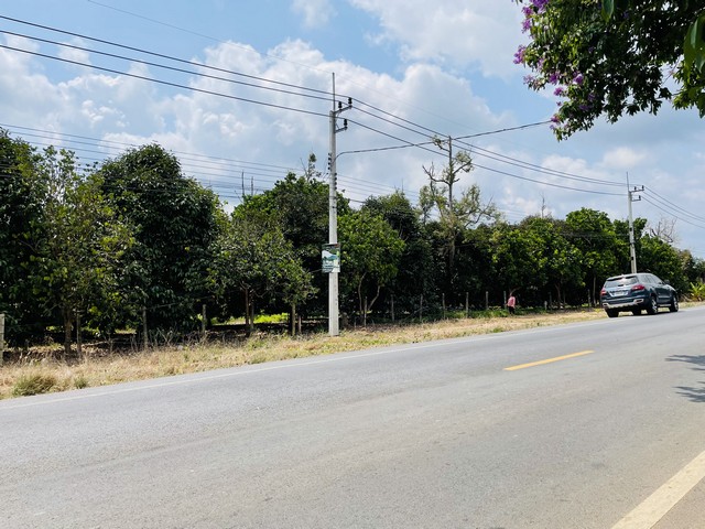 ขายที่สวนผลไม้ พื้นที่ 1 ไร่  ต.กระเฉด ภายในสวนมีผลไม้ มังคุด ลองกอง ทุเรียน ต.กระเฉด อ.เมือง จ.ระยอง