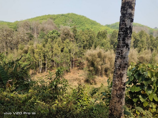 ที่ดิน ที่ดิน ต.พงษ์ อ.สันติสุข จ.น่าน 41824 ตาราง-วา  36500000 - ไม่ไกลจาก ห่างถนนทางหลวงหมายเลข 1225 ประมาณ 700 ม. และสนามบินน่านนคร ประมาณ 39 กม. ราคาต่ำกว่าตลาด ที่ดินผืนใหญ่ ติดแม่น้ำ ร่มรื่น และมีต้นไม้นานาชนิด สามารถนำพัฒนาเป็นรีสอร์ต, บ้านพัก