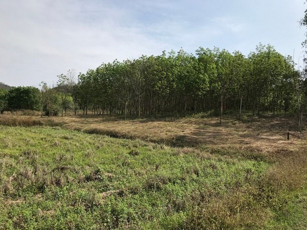 ที่ดิน ที่ดิน บ้านนาค้อ ปากชม จ.เลย  1200000 - ไม่ไกลจาก อยู่บ้านนาค้อ ห่างจากถนนทางหลวงสายปากชม-บ้านธาตุ ไม่ถึง 100 เมตร (ทางหลวงหมายเลข 2108) ทำเลคุณภาพ เลย