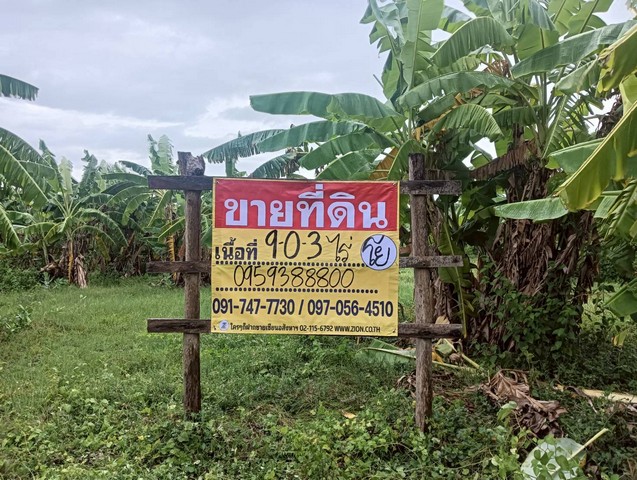 ขายที่ดินสวย 9-0-3ไร่  ทำเลสวย ใกล้แหล่งชุมชน  ท่ามะกา  กาญจนบุรี    ZW599