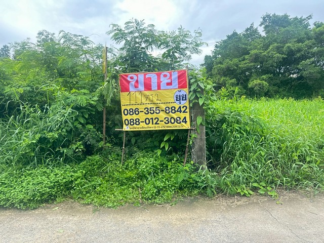 ขายที่ดิน‭ ซอยลาดพร้าว 101 แยก 42 ซอยปรีดา เนื้อที่ 111 ตารางวา    คลองจั่น   บางกะปิ