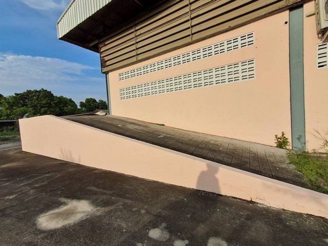 ให้เช่าโกดัง ติดถนน ขนาด 900 ตารางเมตร พื้นที่สีเขียว   อำเภอพานทอง ชลบุรี