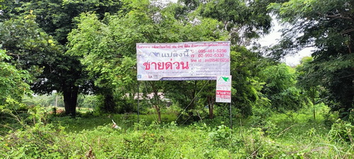 ที่ดิน2 ไร่  บ้านดอนกอก-บ้านกุดขมิ้น ต.สูงเนิน อ.สูงเนิน จ.นครราชสีมา 