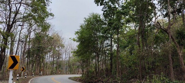 พื้นที่ดิน ที่ดิน จ.น่าน  พื้นที่ 20 ไร่ 0 งาน 97 ตาราง.วา 101211250 - ใกล้ ที่ดินติดอุทยานแห่งชาติดอยทุ่งขามน้ำสมุน และอยู่ห่างท่าอากาศยานน่านนคร (จ.น่าน) เพียง 11 กม. ONE PRICE! น่าน   