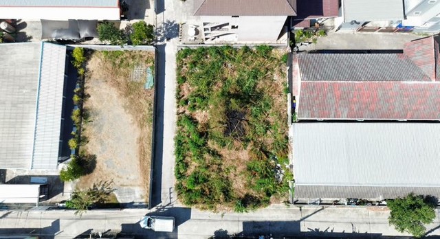 ขายที่ดินเปล่าพัทยา แปลงสวย ทำเลดี ซอยวัดธรรมสามัคคี บางละมุง ชลบุรี FP-L01217 