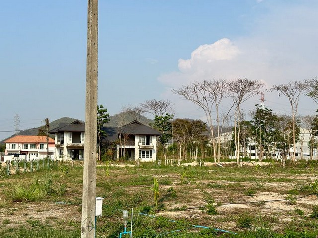 ขายที่ดินเปล่าแปลงสวย ในโครงการ ปัญญารีสอร์ท  บางพระ ชลบุรี FP-L01216