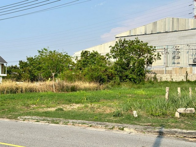 ขายที่ดินแปลงสวย ราคาดีมาก ในโครงการปัญญารีสอร์ท บางพระ ชลบุรี FP-L01211 