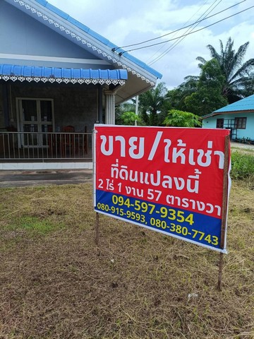 ขายบ้านพร้อมที่ดิน อำเภอเมือง จังหวัดชุมพร เนื้อที่ 2 ไร่ 1 งาน 57 ตารางวา โฉนดครุฑแดง