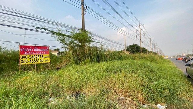 ขายที่ดินศักยภาพสูง 21 - 0 -39.8 ไร่  หนองจอก ติดถนนสุวินทวงศ์