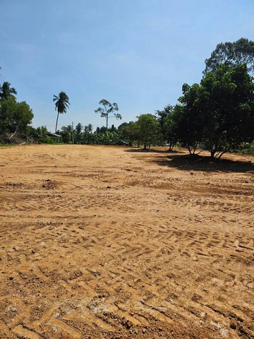 ขายที่ดินห้วยใหญ่ พัทยา 1 ไร่ 2 งาน ทำเลทอง EEC พร้อมสร้างบ้าน TP-L1653