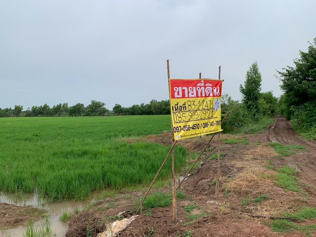 ขายที่ดินผืนใหญ่ 83 ไร่ 1 งาน 24 ตร.ว.  ท่างาม   ทำเลดี ใกล้ตัวเมืองปราจีนบุรี