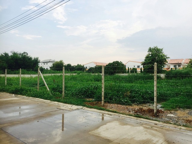 ที่ดินเปล่า แยก บางสีทอง ขนาด 317 ตารางวา ถนน.นครอินทร์ ต.บางสีทอง อ.บางกรวย จ.นนทบุรี