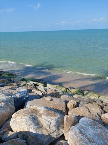 ที่ดิน ที่ดินติดหาดทรายแก้ว ท่าศาลา จ.นครศรีธรรมราช ขนาด 12 RAI 1 งาน 2 Square Wah  61283750 thb ใกล้ ติดหาดหาดทรายแก้ว (ท่าศาลา) ราคา - สุดคุ้ม รูปร่างสี่เหลี่ยมผืนผ้า, ติดถนน และติดทะเล เหมาะสำหรับนำไปพัฒนาเป็นบ้านพักตากอากาศ, รีสอร์ต หรือโรงแรมติด