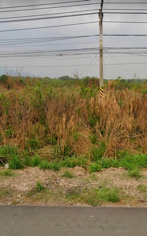 ขายที่ดินคลองจิ่วชลบุรี ขายที่ดินเนื้อที่ 143-3-48 ไร่ หน้ากว้างประมาณ312เมตร  ติดถนนสายพนมสารคาม-สัตหีบ