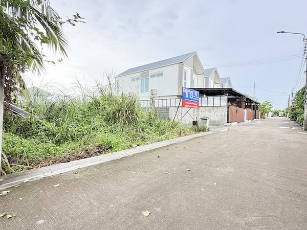 ขายที่ดิน ทวีวัฒนา 25 70 ตรว. (ซอยร่วมเกื้อ) ทวีวัฒนา กทม.