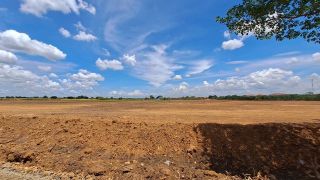 ขายด่วนที่ดินถมแล้วติดถนนสาธารณะ 41 ตร วา ตำบล บ้านชุ้ง อำเภอนครหลวง จังหวัดพระนครศรีอยุธยา