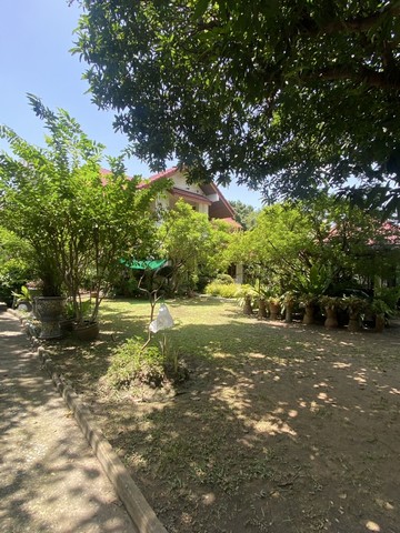 ขายด่วนที่ดิน พร้อมบ้าน 2 หลัง  โทรคุณแพท 0816598024 ซอย แจ้งวัฒนะ ปากเกร็ด 17 ถ. แจ้งวัฒนะ จ. นนทบุรี