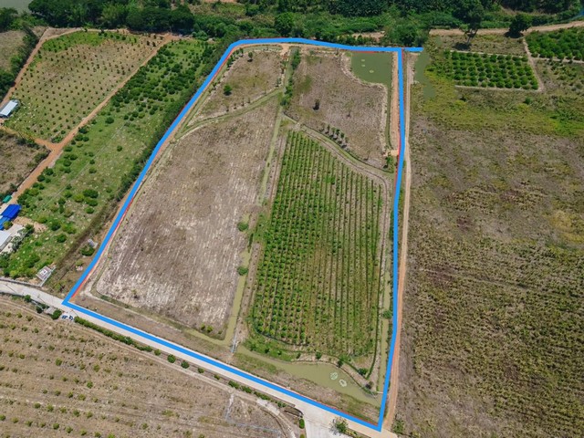 พื้นที่ดิน ที่ดิน หนองหญ้าปล้อง จ.เพชรบุรี ขนาดพื้นที่ 33388 sq.wa  50082450 - ราคา-ถูก