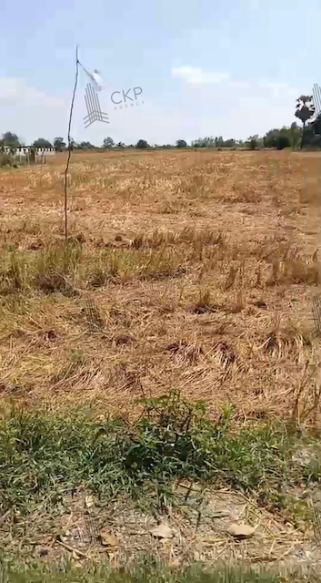 ขายต่ำกว่าราคาประเมิน ที่ดินเปล่า ในตัวอำเภอ ใกล้ถนนสุรนารายณ์ ใกล้แหล่งชุมชนและตลาด