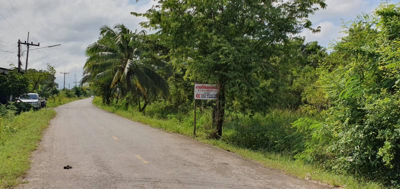 ขายที่ดินเปล่า ทำเลดี ใจกลางเมืองพัทลุง ใก้ล วัดคูหาสวรรค์ 