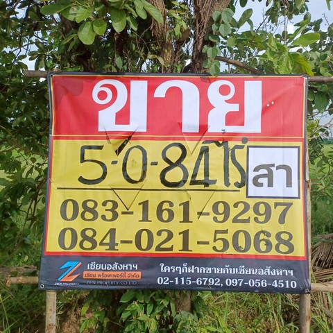 ขายที่นาสวย ติดคลองชนประทาน  5-0-84 ไร่  บ้านท่าตะเคียน  จอมทอง  เมืองพิษณุโลก   ZK532