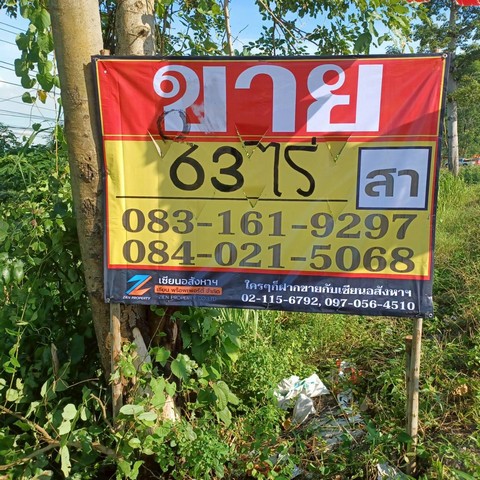 ขายที่ดิน ติดถนนสายหลัก พล.-นว. ราคาถูก ทำเลดี  เนื้อที่  63-0-0 ไร่  บ้านวังเป็ด  บางระกำ  พิษณุโลก