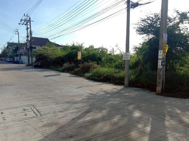 ขายด่วน ที่ดินแปลงสวย  587ตารางวา   ประชาอุทิศ90  ทุ่งครุ  พระสมุทรเจดีย์  ติดถนน3ด้าน    ZTK081