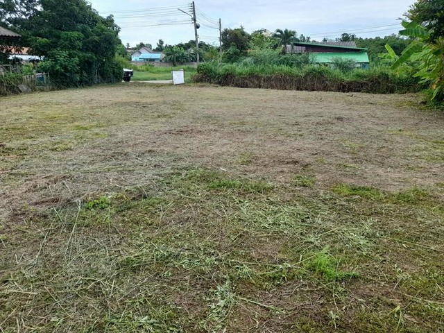 ที่ดินเปล่า หันหน้าทิศตะวันออก น้ำประปา ไฟฟ้าครบ สันทรายหลวง