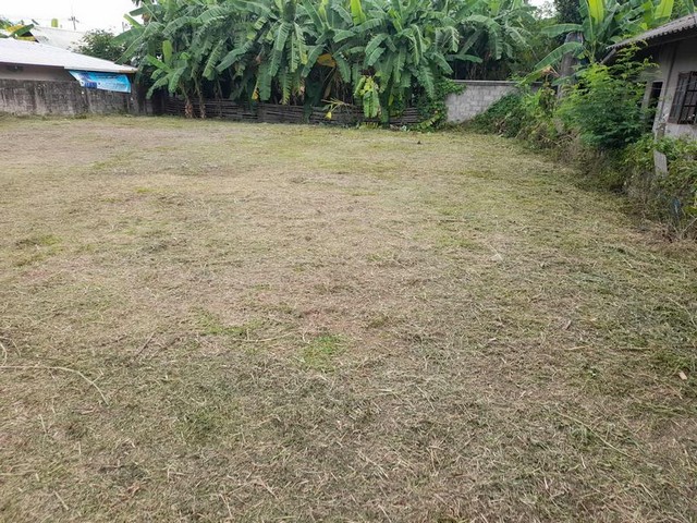 ที่ดินเปล่า หันหน้าทิศตะวันออก น้ำประปา ไฟฟ้าครบ สันทรายหลวง