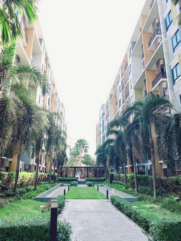 ขายไอคอนโดสุขุมวิท 105  ขายคอนโดลาซาลสุขุมวิท-เฟอร์นิเจอร์ครบพร้อมอยู่